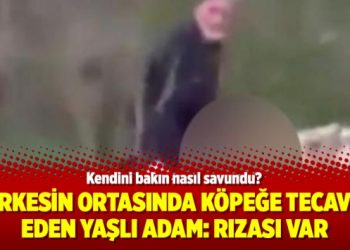 Herkesin ortasında köpeğe tecavüz eden yaşlı adam: Rızası var