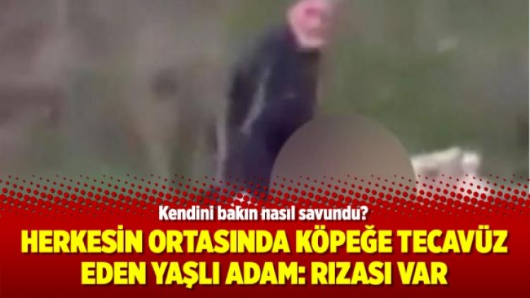 Herkesin ortasında köpeğe tecavüz eden yaşlı adam: Rızası var