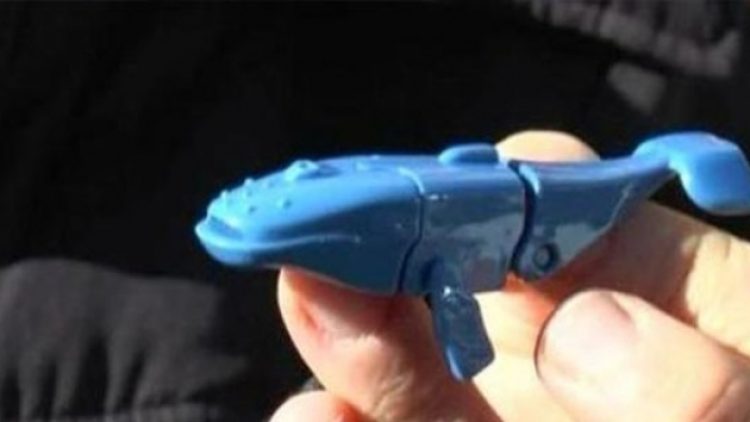 Sürpriz yumurtadan ‘Mavi Balina’ çıktı