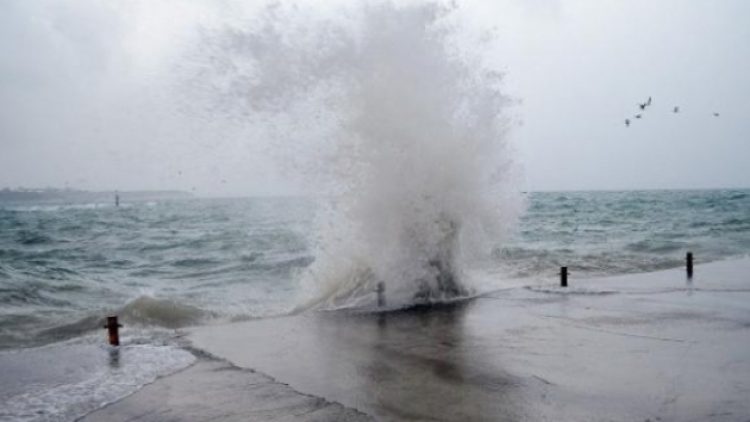 İDO ve BUDO, bazı seferlerini iptal etti