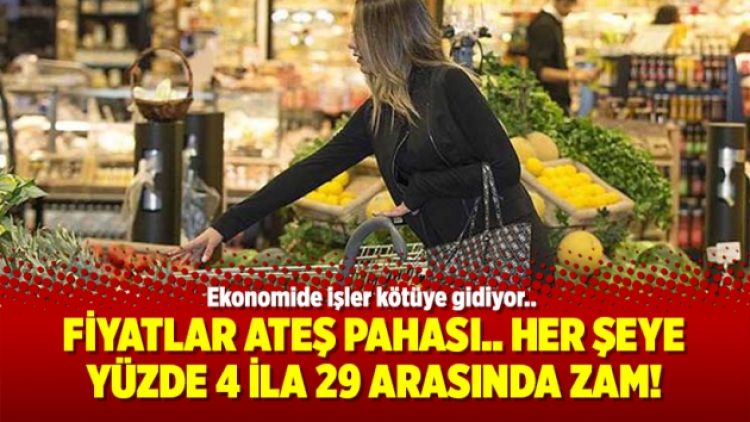 Fiyatlar ateş pahası.. Her şeye yüzde 4 ila 29 arasında zam!