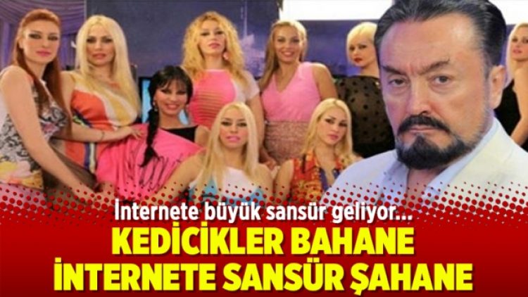 Kedicikler bahane, internete sansür şahane