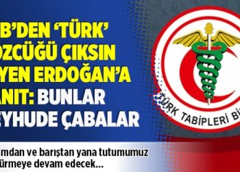 ​TTB’den ‘Türk’ sözcüğü çıksın diyen Erdoğan’a yanıt: Bunlar beyhude çabalar