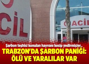 Trabzon’da şarbon paniği: Ölü ve yaralılar var