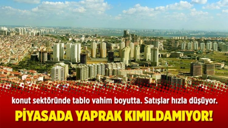 Piyasada yaprak kımıldamıyor!