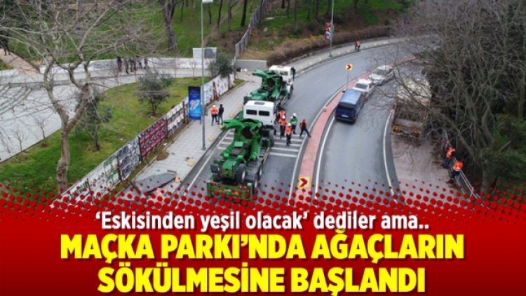 Maçka Parkı’nda ağaçların sökülmesine başlandı