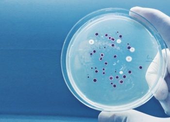 ​Toprakta yeni bir antibiyotik familyası keşfedildi