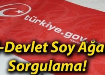 ​E-Devlet soyağacı bilgisi sorgulama sayfası yeniden açıldı