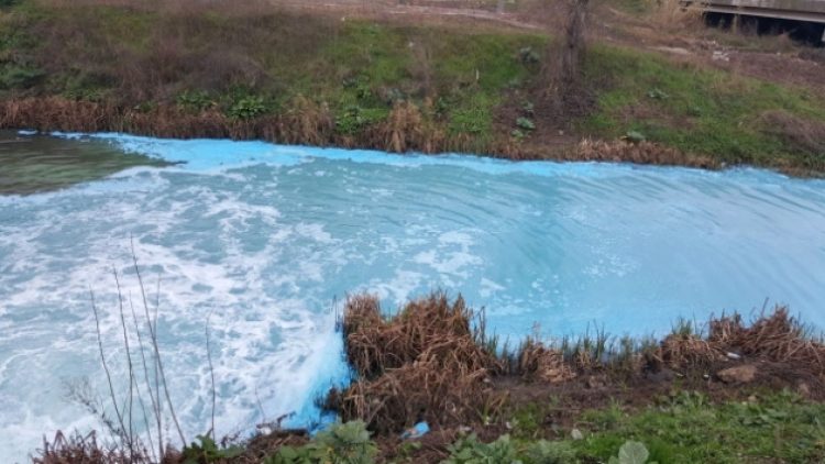 Kocaeli’de dere kimyasal atıklardan dolayı maviye boyandı
