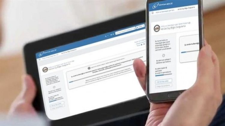 Kaç kişi soyağacına bakıp AB vatandaşlığına başvurdu