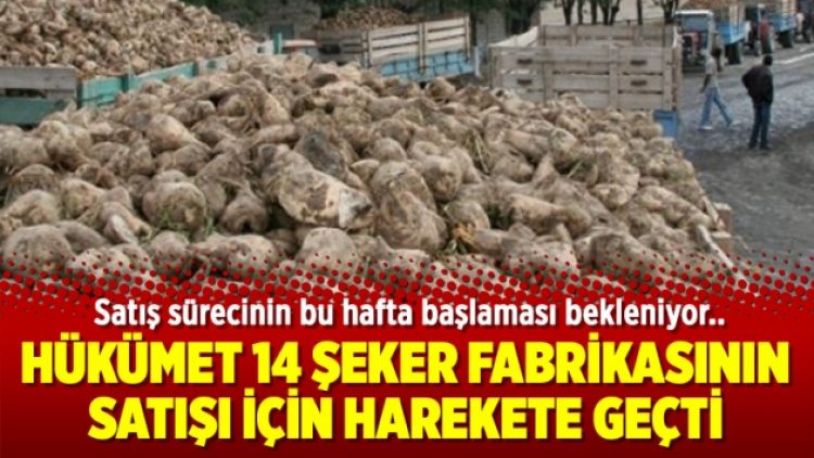 Hükümet 14 şeker fabrikasının satışı için harekete geçti