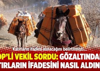 HDP’li vekil sordu: Gözaltındaki katırların ifadesini nasıl aldınız?
