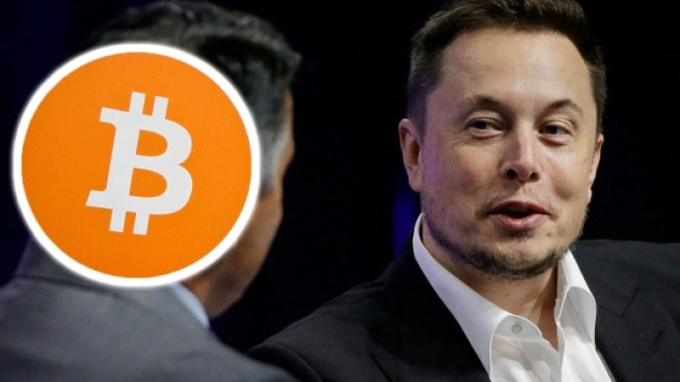 ​Elon Musk, sahip olduğu Bitcoin miktarını açıkladı