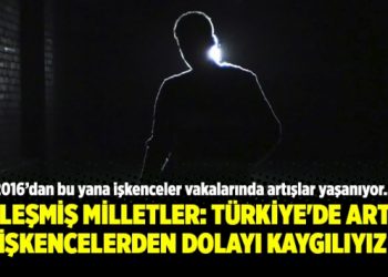 Birleşmiş Milletler: Türkiye’de artan işkencelerden dolayı kaygılıyız