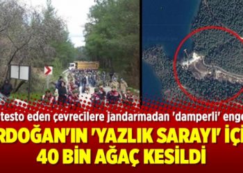Erdoğan’ın ‘yazlık sarayı’ için 40 bin ağaç kesildi
