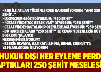 “Hukuk dışı her eyleme perde yaptıkları 250 şehit meselesi!”