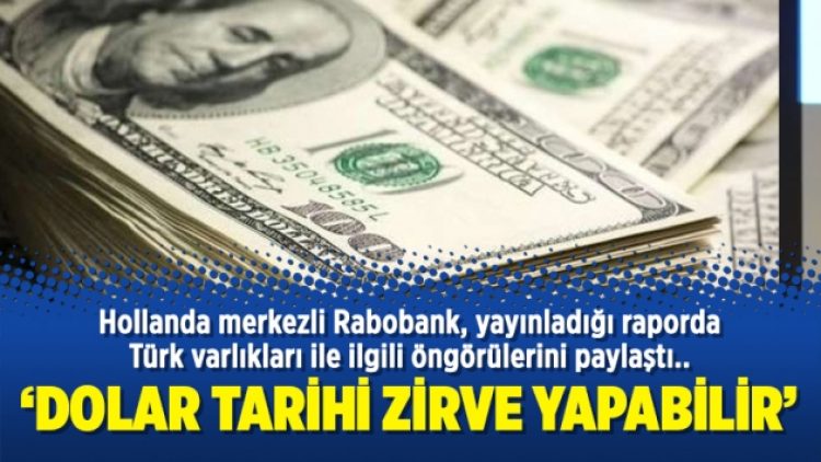 Rabobank: Dolar tarihi zirve yapabilir