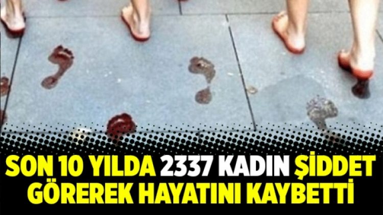 Son 10 yılda 2337 kadın şiddet görerek hayatını kaybetti