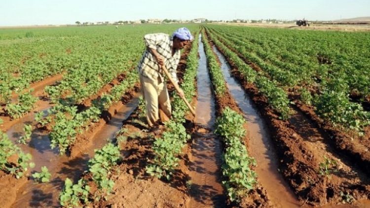 ​’Su zengini değiliz, sulamadan mutlaka ücret almalıyız’