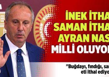 Muharrem İnce: İnek ithal, saman ithal, ayran nasıl milli oluyor?