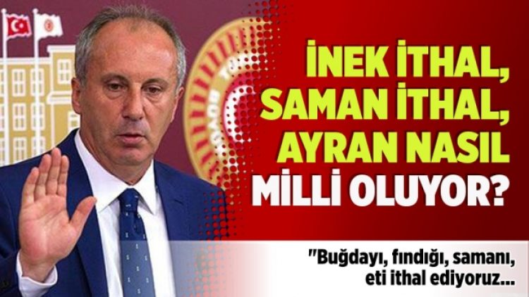 Muharrem İnce: İnek ithal, saman ithal, ayran nasıl milli oluyor?