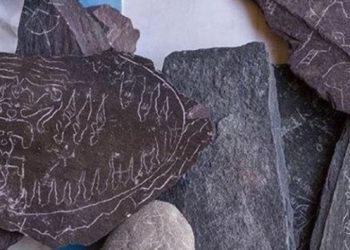 ‘Çok önemli keşif’ olarak sunulan Çatalhöyük çizimlerini arkeolog yapmış