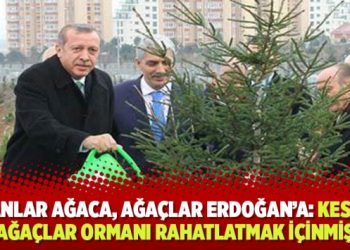 ​Fidanlar ağaca, ağaçlar Erdoğan’a: Kesilen ağaçlar ormanı rahatlatmak içinmiş