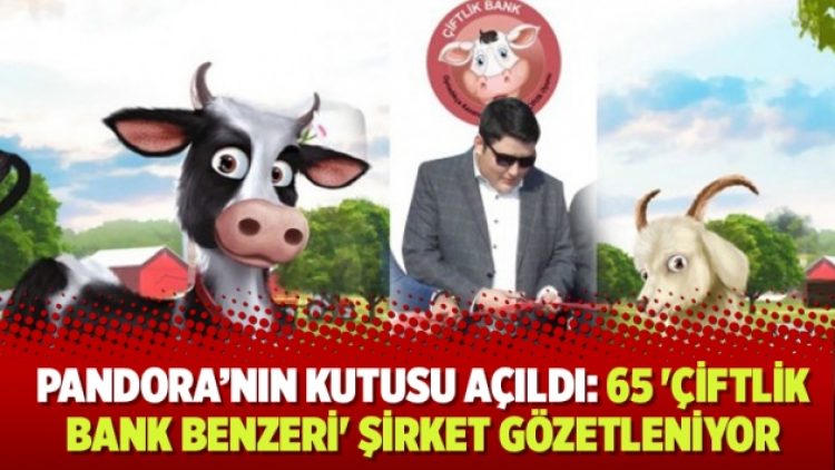 ​Pandora’nın kutusu açıldı: 65 ‘Çiftlik Bank benzeri’ şirket gözetleniyor