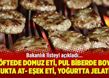 Köftede domuz eti, pul biberde boya, sucukta at- eşek eti, yoğurtta jelatin