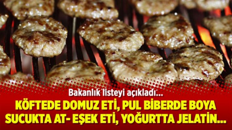 Köftede domuz eti, pul biberde boya, sucukta at- eşek eti, yoğurtta jelatin