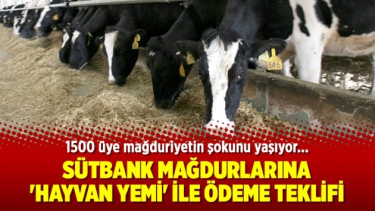 Sütbank mağdurlarına ‘hayvan yemi’ ile ödeme teklifi