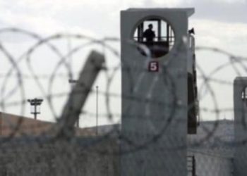 İHD açıkladı: Erzincan Cezaevi’nde darp edilen tutuklunun kulak zarı patladı