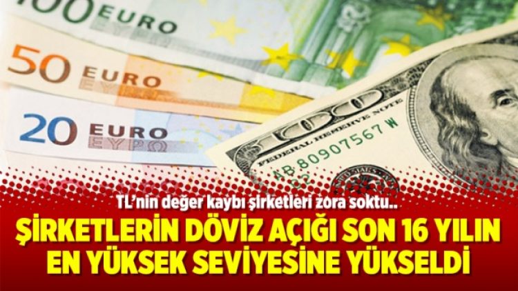 Şirketlerin döviz açığı son 16 yılın en yüksek seviyesine yükseldi