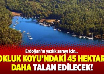 Erdoğan’ın yazlık sarayı için Okluk Koyu’ndaki 45 hektar daha talan edilecek!