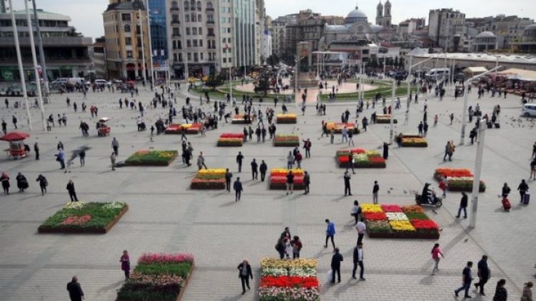 ​Beton üzerine konan saksılarda ‘yerli ve milli’ laleler Taksim’de