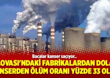 Dilovası’ndaki fabrikalardan dolayı kanserden ölüm oranı yüzde 33 oldu