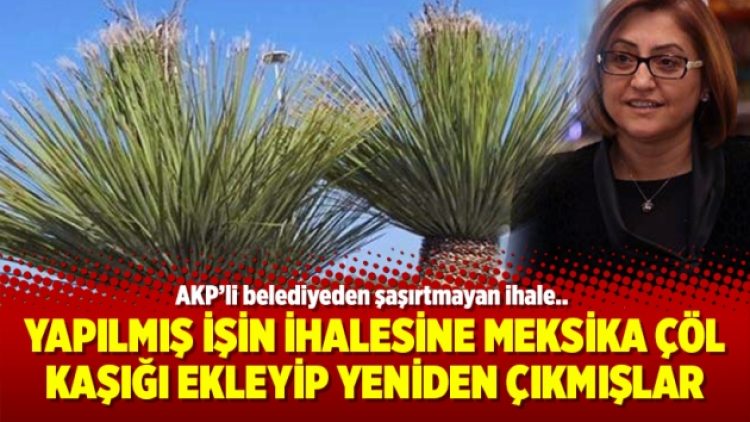 Yapılmış işin ihalesine Meksika Çöl Kaşığı ekleyip yeniden çıkmışlar