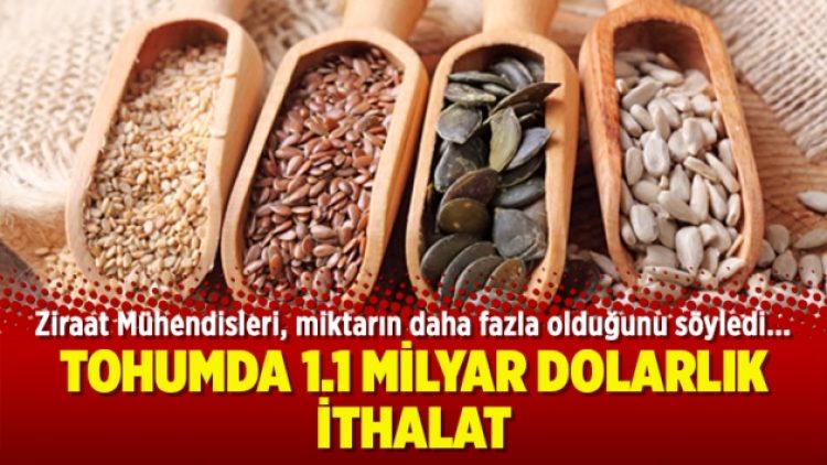 Tohumda 1.1 milyar dolarlık ithalat