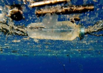 Bilim insanları plastiği çözen enzim geliştirdi