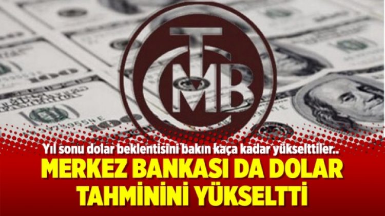 Merkez Bankası da dolar tahminini yükseltti
