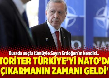 David Welch: ‘Otoriter Türkiye’yi NATO’dan çıkarmanın zamanı geldi’
