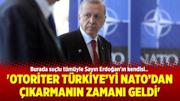 David Welch: ‘Otoriter Türkiye’yi NATO’dan çıkarmanın zamanı geldi’