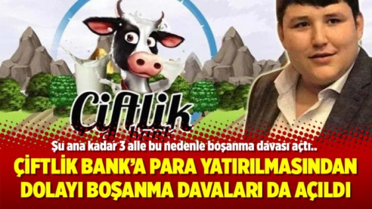 Çiftlik Bank para yatırılmasından dolayı boşanma davaları da açıldı