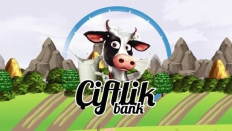 Çiftlik Bank’ın yazılımcısı yakalandı!