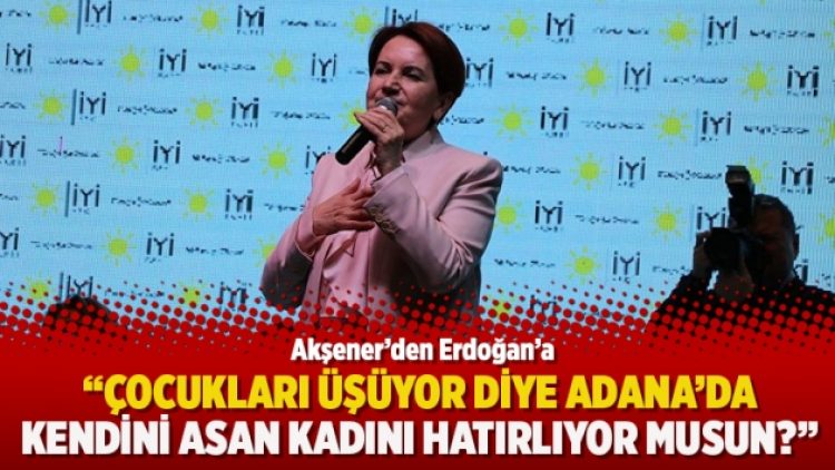 Akşener’den Erdoğan’a: Çocukları üşüyor diye Adana’da kendini asan kadını hatırlıyor musun?