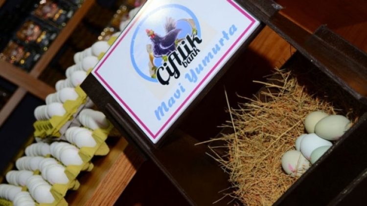 Çiftlik Bank’ın ‘beyin takımı’ndan Düzgün Genç tutuklandı