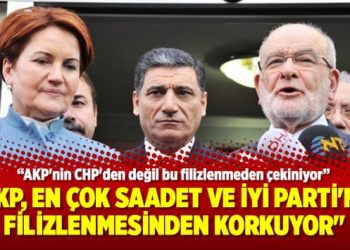 “AKP, en çok Saadet ve İyi Parti’nin filizlenmesinden korkuyor”