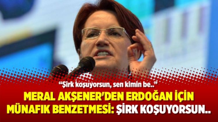 Meral Akşener’den Erdoğan için münafık benzetmesi: Şirk koşuyorsun..