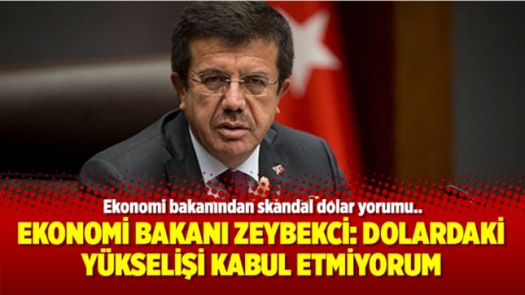 Ekonomi Bakanı Zeybekci: Dolardaki yükselişi kabul etmiyorum