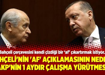 Bahçeli’nin ‘af’ açıklamasının nedeni AKP’nin 1 aydır çalışma yürütmesi
